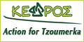 action for tzoumerka